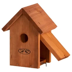 Caja nido douglas