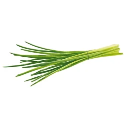 Cebollino - Planta aromática