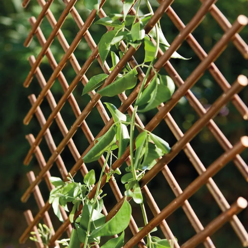 Celosía de Mimbre Natural Willow Trellis