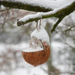 Coco relleno de sebo