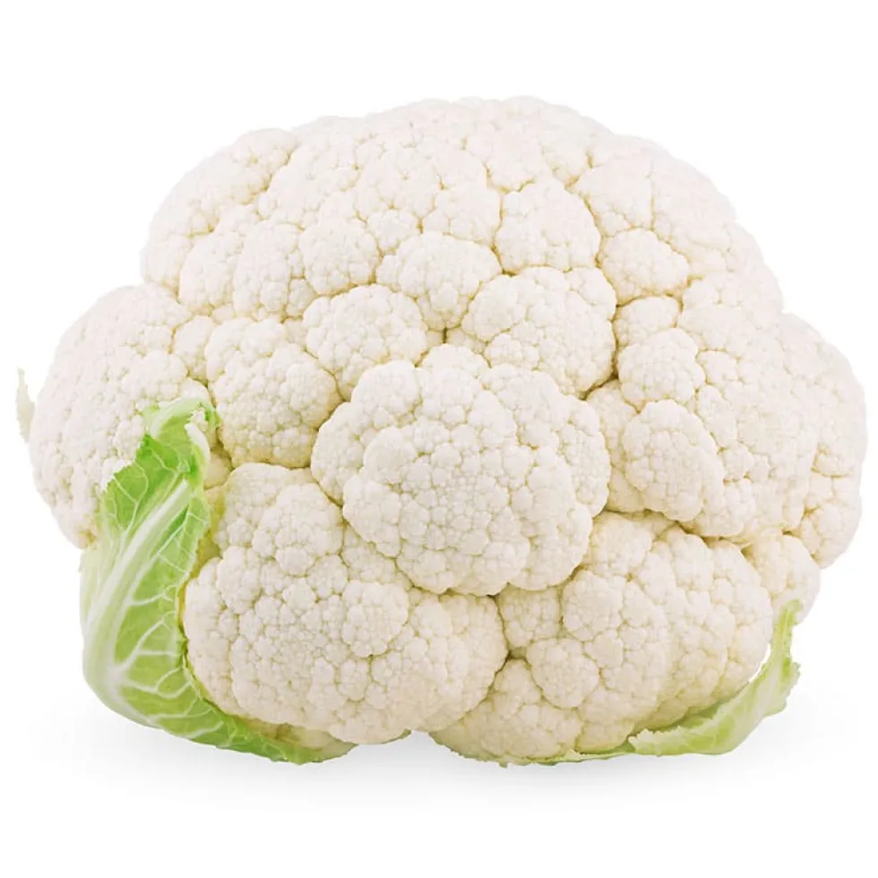 Coliflor blanca - Planta de huerto