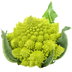 Coliflor Romanesco - Planta de huerto