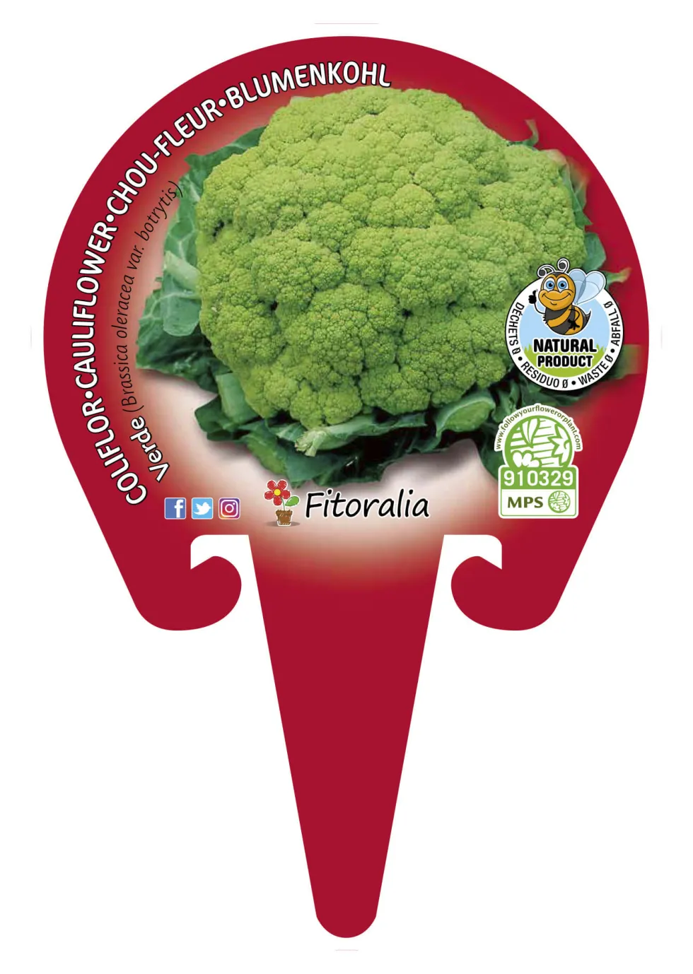 Coliflor verde - Planta de huerto