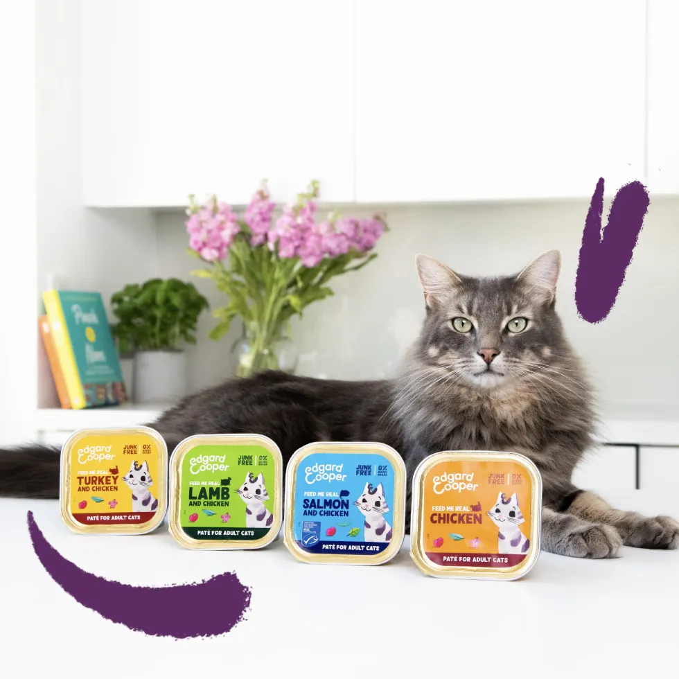 Comida húmeda para gatos adultos - Pack mixto (8 unidades) Edgard&Cooper