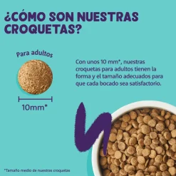 Comida seca Premium para gatos adultos (sabor salmón) Edgard&Cooper