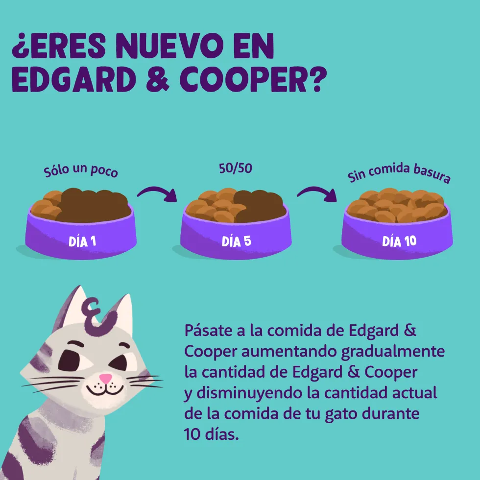 Comida seca Premium para gatos adultos (sabor salmón) Edgard&Cooper