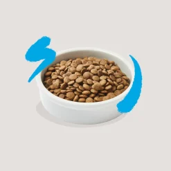 Comida seca Premium para gatos adultos (sabor salmón) Edgard&Cooper