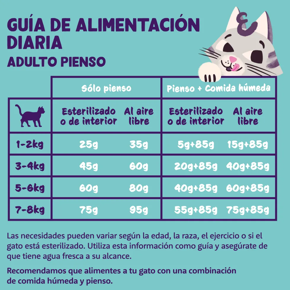 Comida seca Premium para gatos adultos (sabor salmón) Edgard&Cooper
