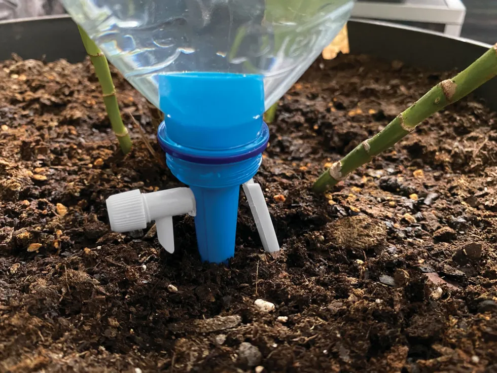 Cono de riego para botellas Aqua Control (pack 6 unidades)
