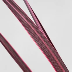 Cordyline banksii 'Electric Pink'