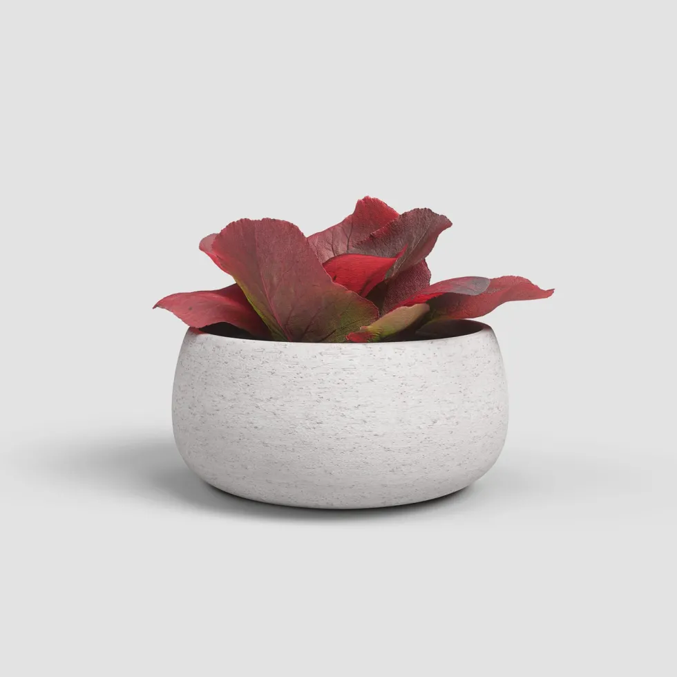 Cuenco hemera crema