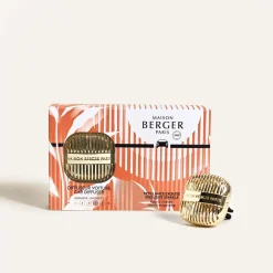 Difusor de aromas para coche Berger - Cannelo Pétillance ExquiseInicie
