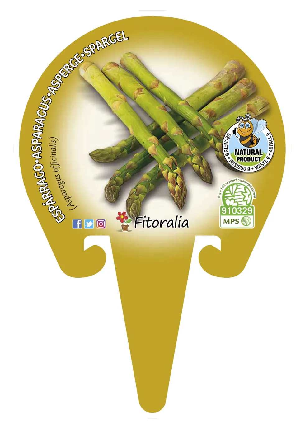 Esparrago - Planta de huerto