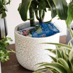 Gel de agua para regar plantas