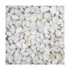 Grava marina decorativa blanca - 2kg