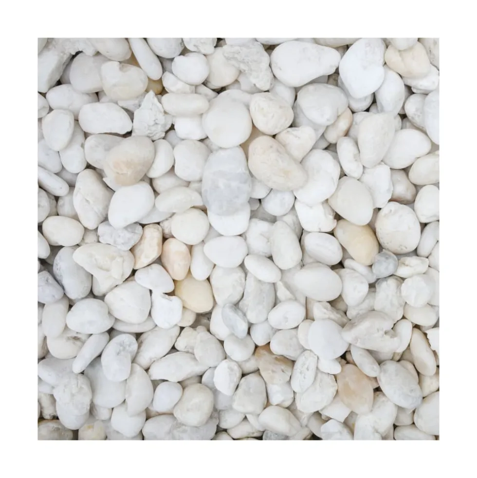 Grava marina decorativa blanca - 2kg