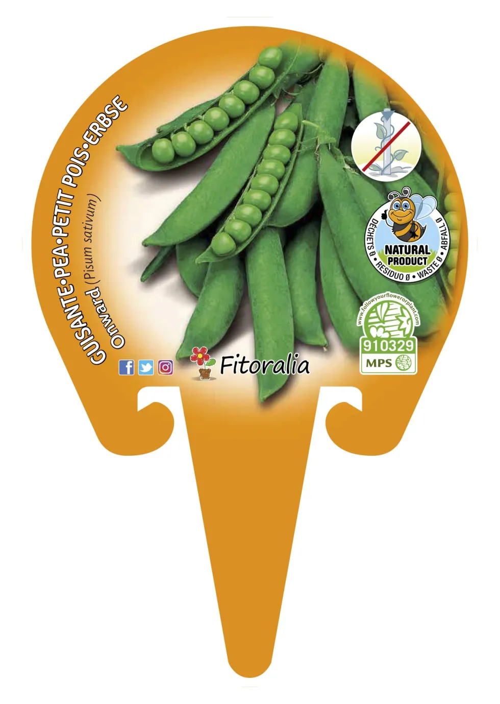 Guisante mata baja - Planta de huerto