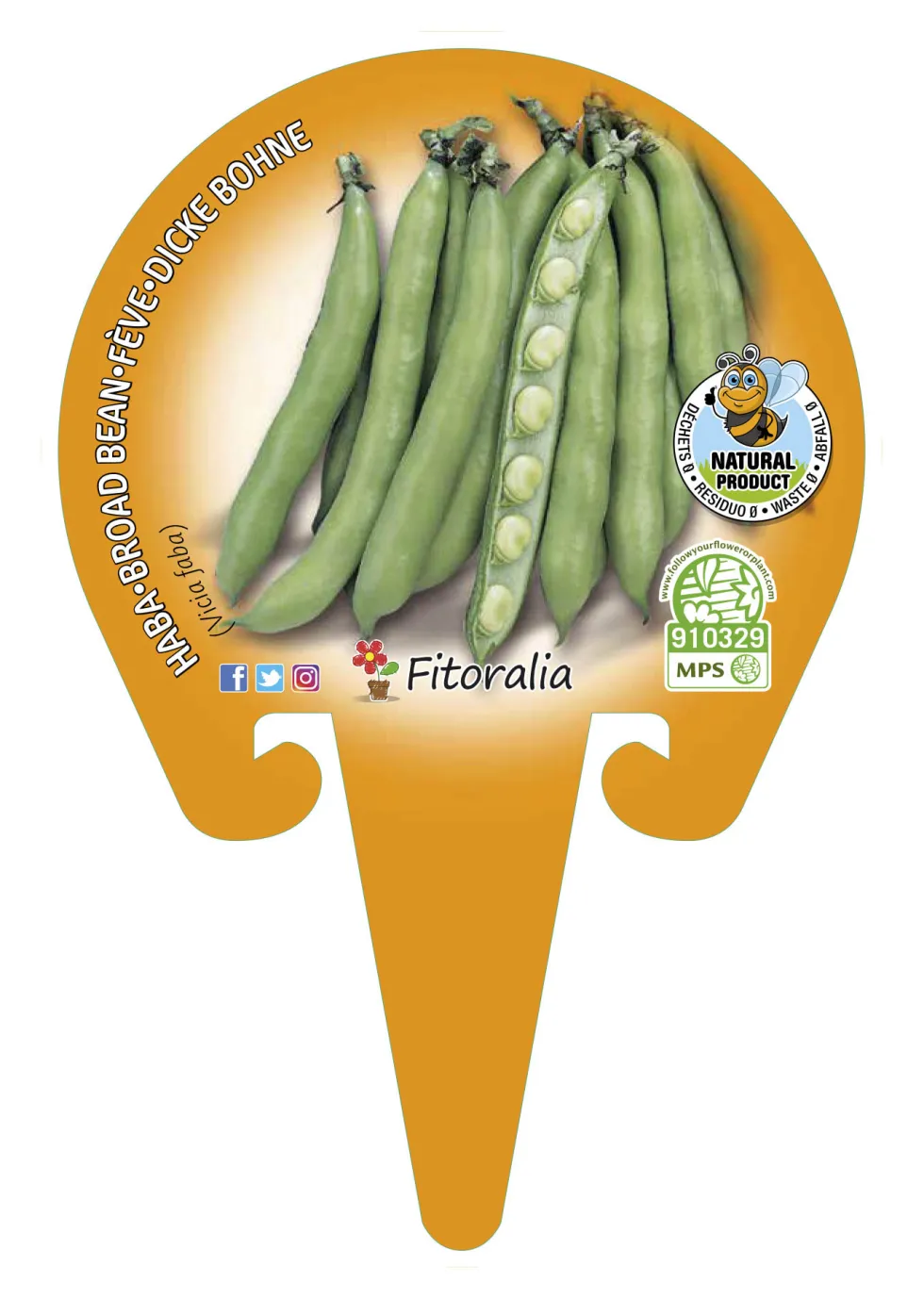 Haba - Planta de huerto