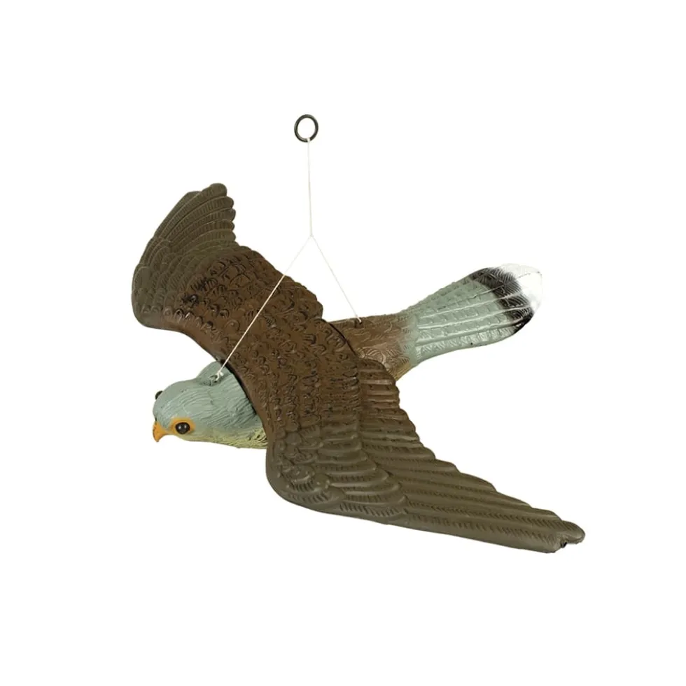 Halcón volador espantapájaros