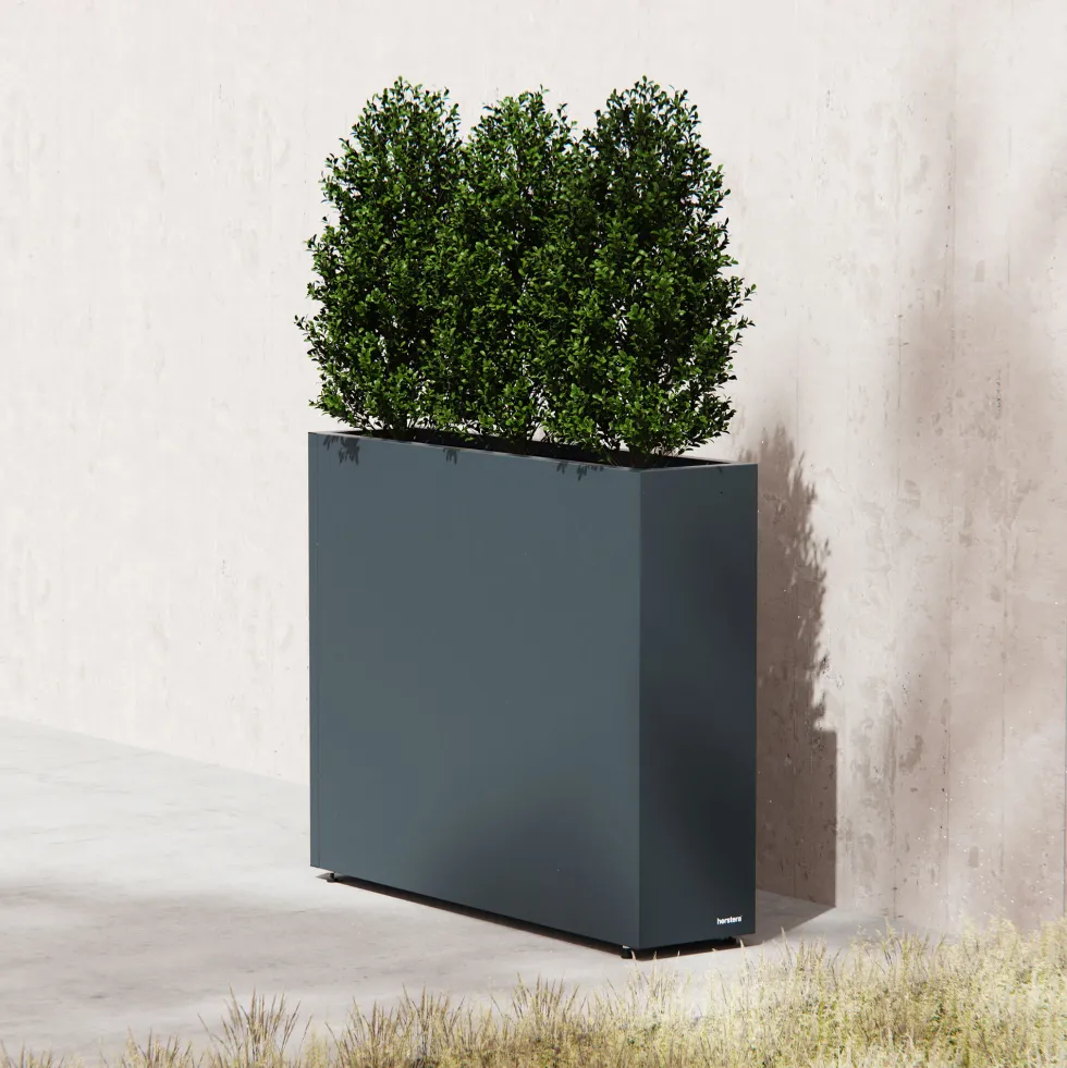 Herstera Metal Planter - Jardinera DIVIDER antracita