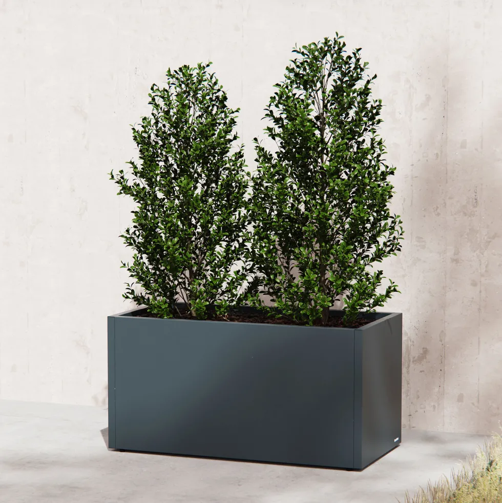 Herstera Metal Planter - Jardinera METAL PLANTER 50 antracita