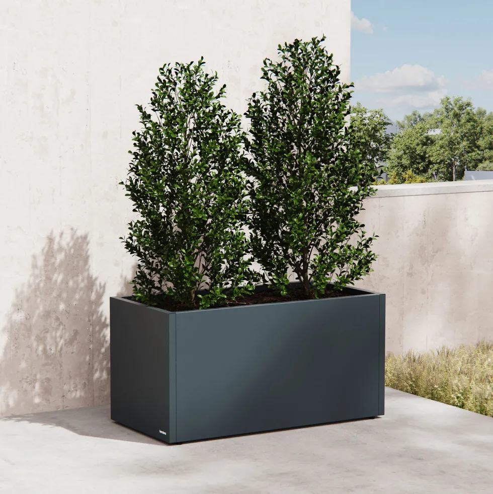 Herstera Metal Planter - Jardinera METAL PLANTER 50 antracita
