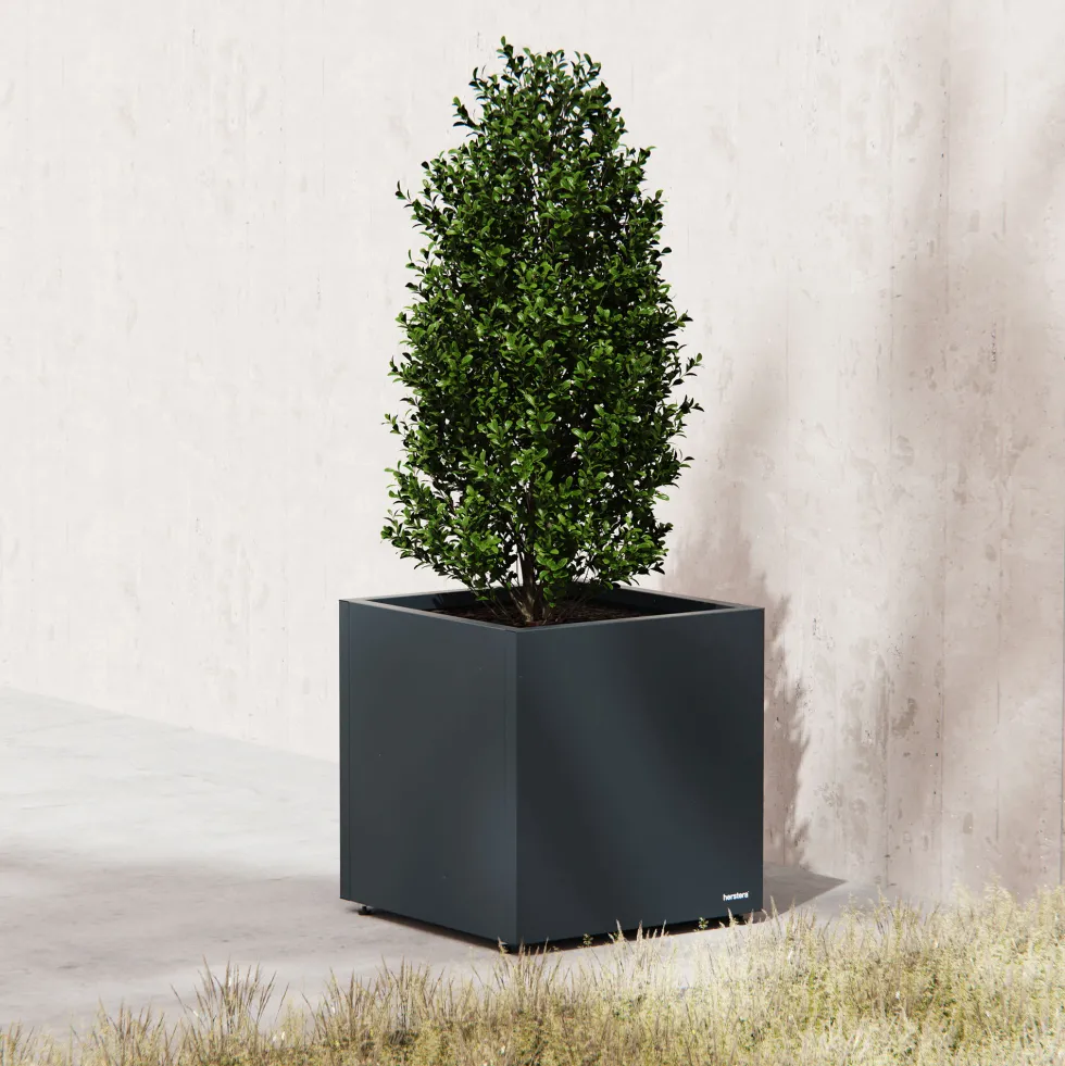 Herstera Metal Planter - Jardinera CUBE antracita