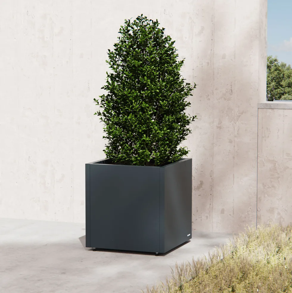 Herstera Metal Planter - Jardinera CUBE antracita