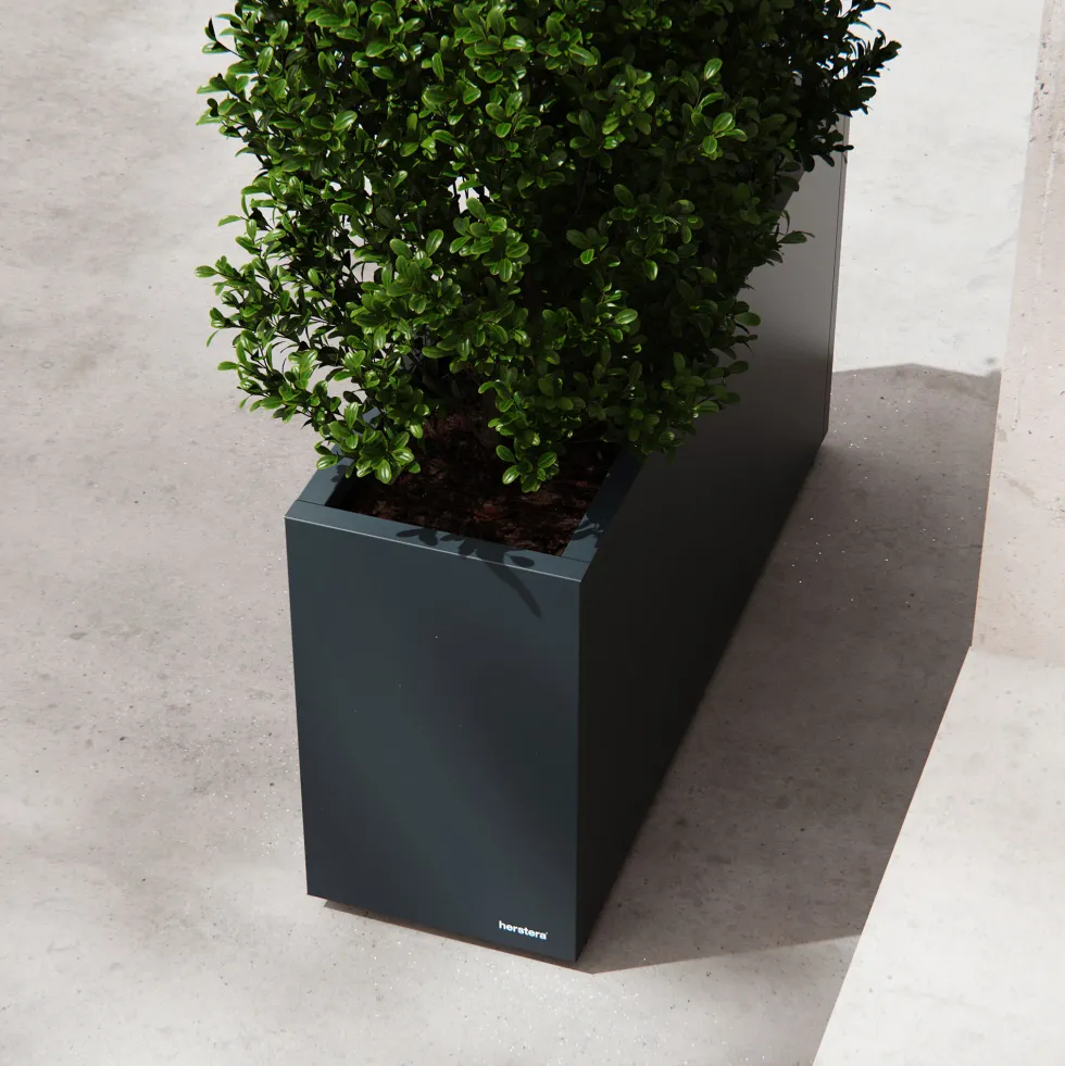 Herstera Metal Planter - Jardinera METAL PLANTER 30 antracita