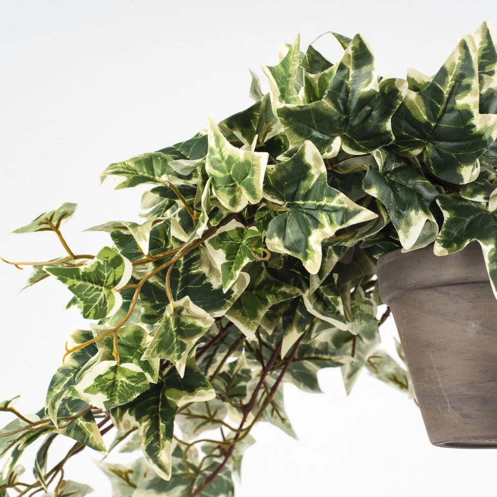 Hiedra Variegata Artificial
