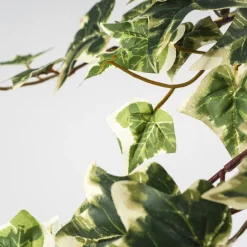 Hiedra Variegata Artificial