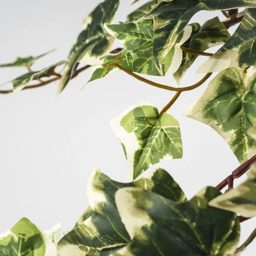 Hiedra Variegata Artificial