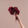 Hortensia Preservada Bizancio