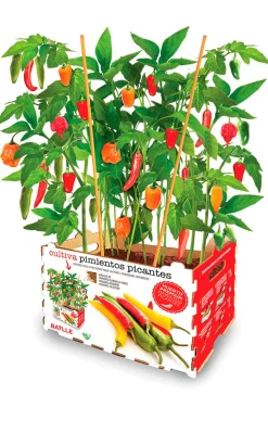 Huerto Premium Pimientos Picantes Batlle