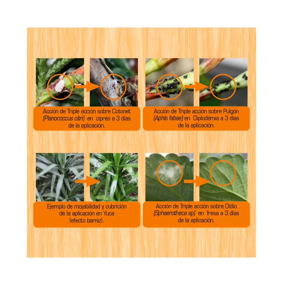 Insecticida triple acción Ecológico