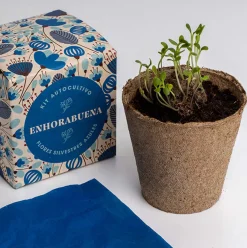 Kit Autocultivo Díselo con Flores (Enhorabuena) Resetea