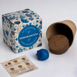 Kit Autocultivo Díselo con Flores (Enhorabuena) Resetea
