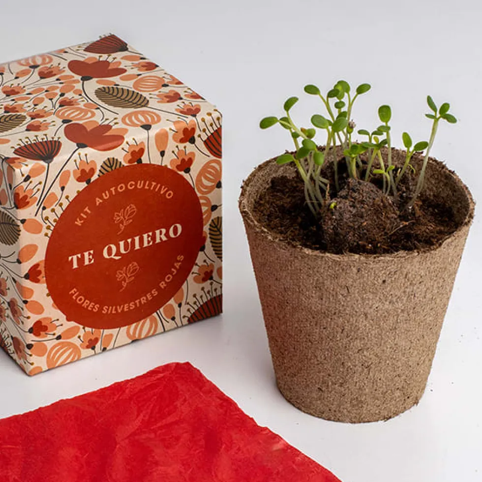 Kit Autocultivo Díselo con Flores (Te quiero) Resetea