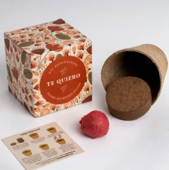 Kit Autocultivo Díselo con Flores (Te quiero) Resetea