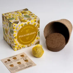 Kit Autocultivo Díselo con Flores (Felicidades) Resetea
