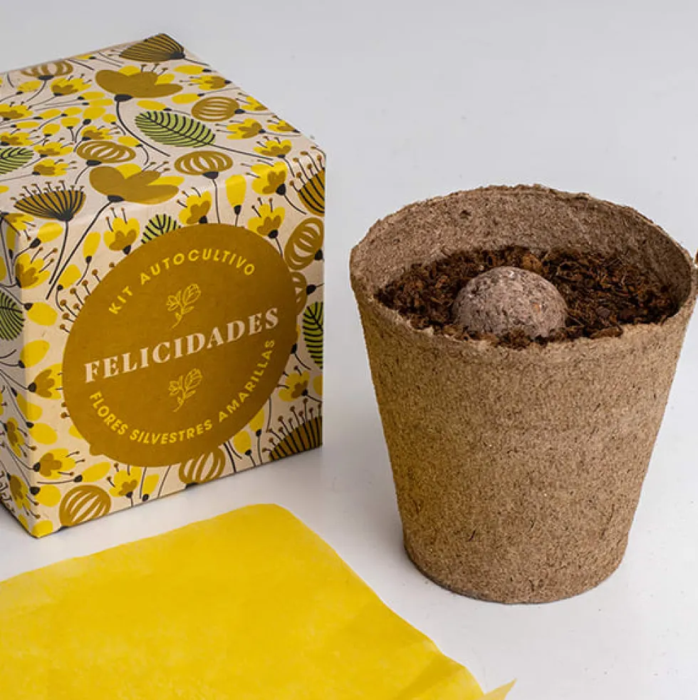 Kit Autocultivo Díselo con Flores (Felicidades) Resetea