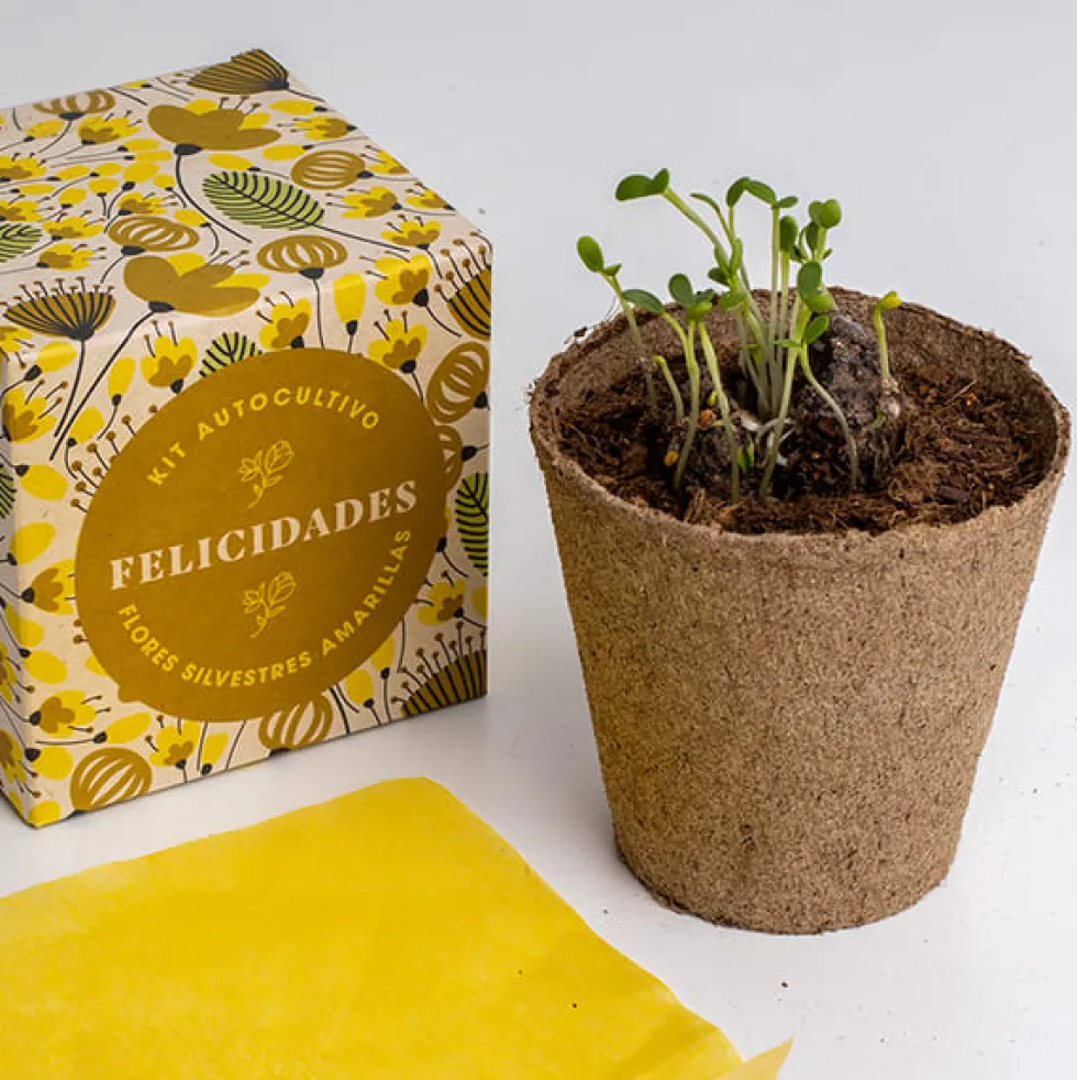 Kit Autocultivo Díselo con Flores (Felicidades) Resetea