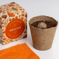 Kit Autocultivo Díselo con Flores (Gracias) Resetea