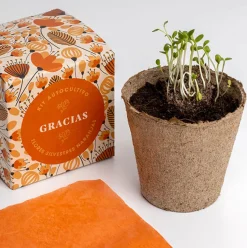 Kit Autocultivo Díselo con Flores (Gracias) Resetea