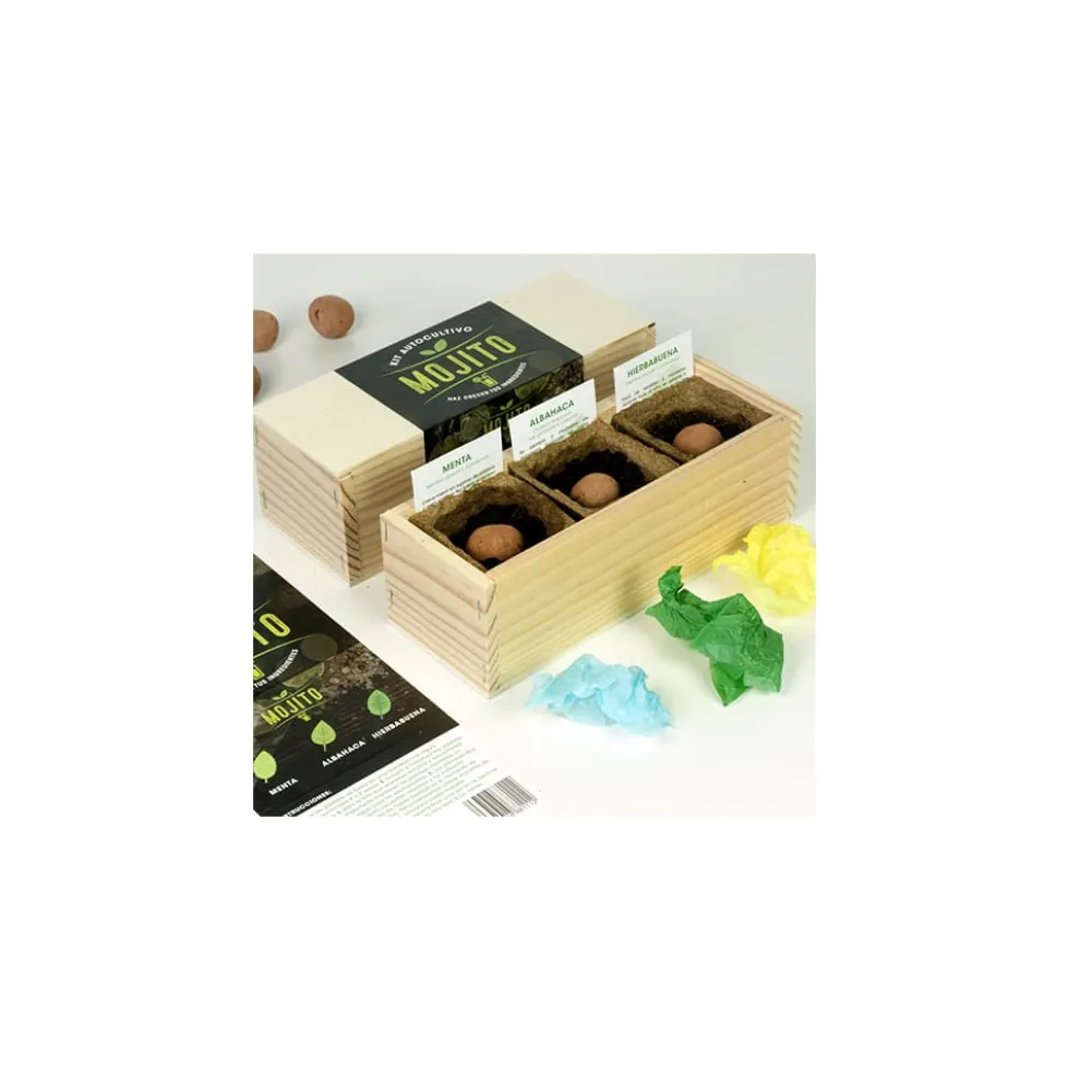 Kit Autocultivo Mojito Resetea