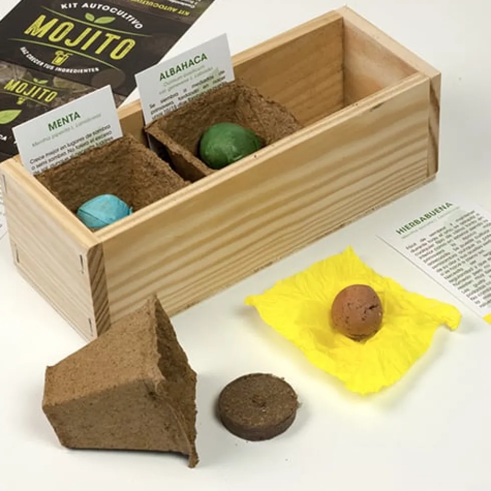 Kit Autocultivo Mojito Resetea
