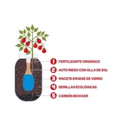 Kit Cultiva tus tomates Cherry
