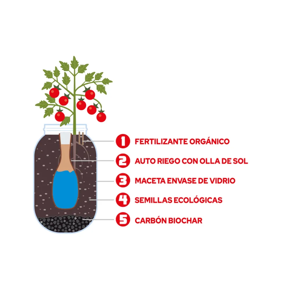 Kit Cultiva tus tomates Cherry