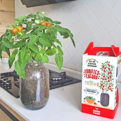 Kit Cultiva tus tomates Cherry