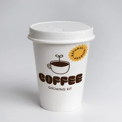 Kit de cultivo 'Café arábica'